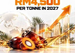 Malaysia expects RM4,500 per tonne for 2027 for Palm oil