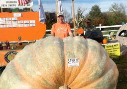 Now expect bus size pumpkins:  Man Reclaims World Record with Pumpkin Weighing Over 3,000 Lbs.