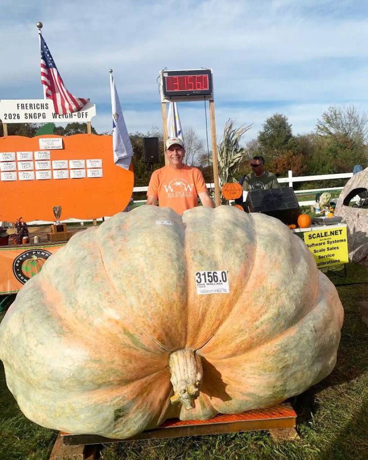 Now expect bus size pumpkins:  Man Reclaims World Record with Pumpkin Weighing Over 3,000 Lbs.